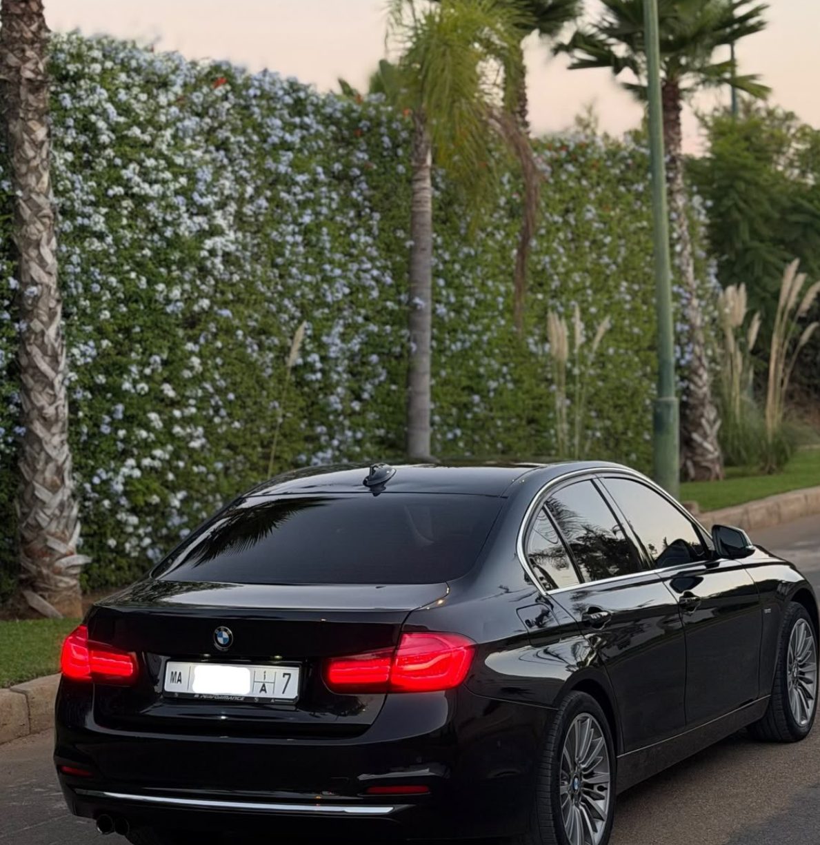 BMW 320d Luxury-Line 2017 — photo 3